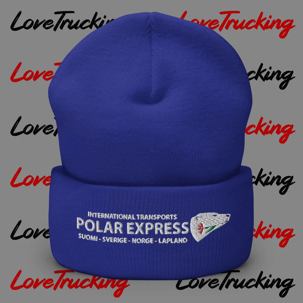 "Polar Express" Beanie